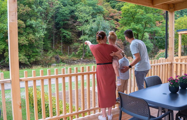 Modern Chalet With Dishwasher, in a Holiday Park, in a Natural Environment - Photo 32