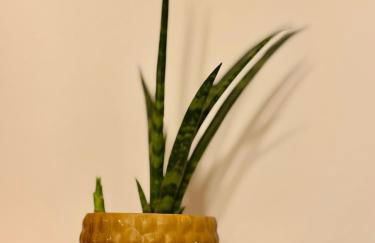 Casa Mirasierra - Foto 6