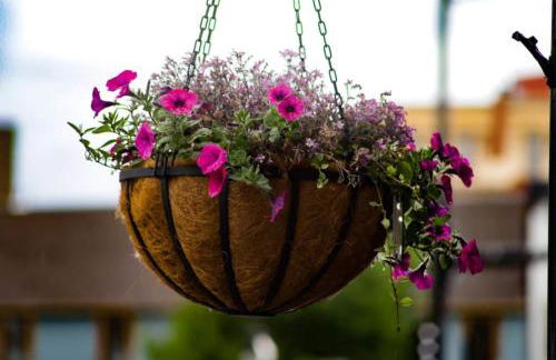 10 Renovated Dog Friendly Cozy Room Leadville - Foto 46