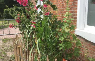 Ferienwohnanlage Sturmhöhe - Foto 73