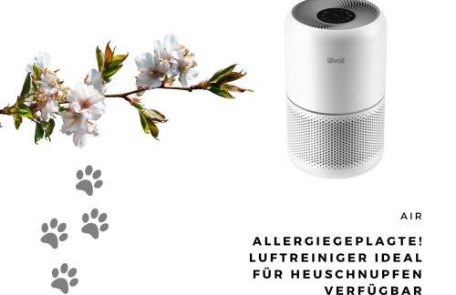 Jimmy's Place - Hotelgefühl, Tolle Lage, Terrasse, BBQ - Foto 38