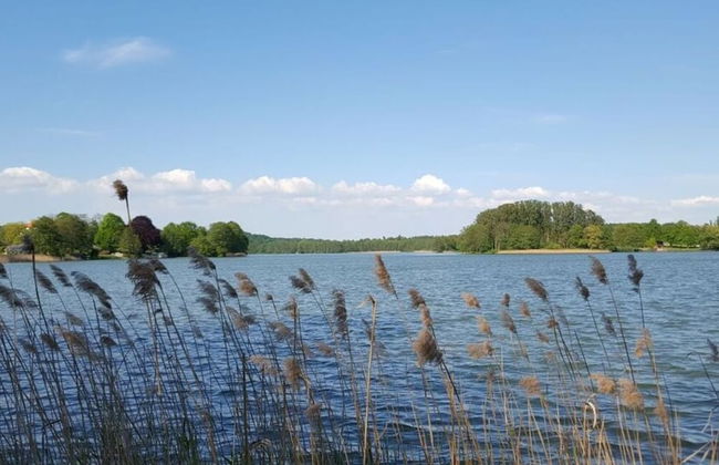 Carwitzer See Modern Retreat - Foto 22