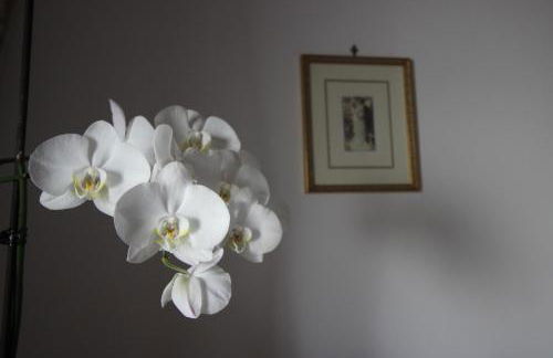 Home Holiday Salento Casa Agrosì Don Camillo - Foto 20