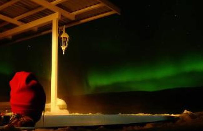 Karetörmä - Foto 27