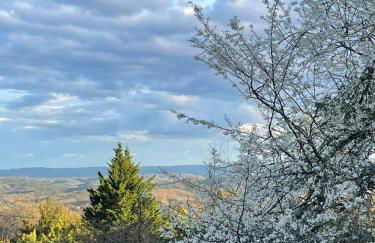 La Bergerie la campagne en ville - Photo 13