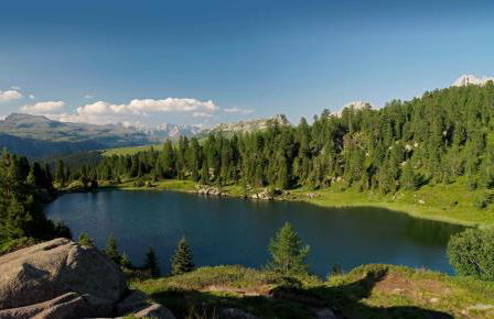 Aparthotel Wellness Villa di Bosco - Foto 68