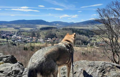 Domek Ostoja - Foto 61