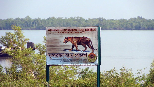 Excursión a la Reserva de Tigres de Sundarbans - Foto 4