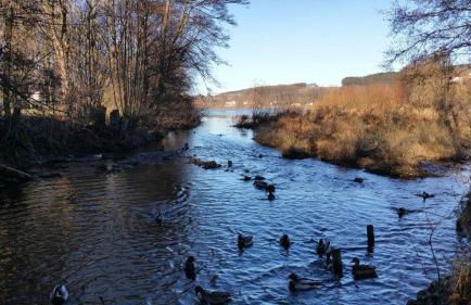 Ferienwohnung am Sorpesee - Foto 32