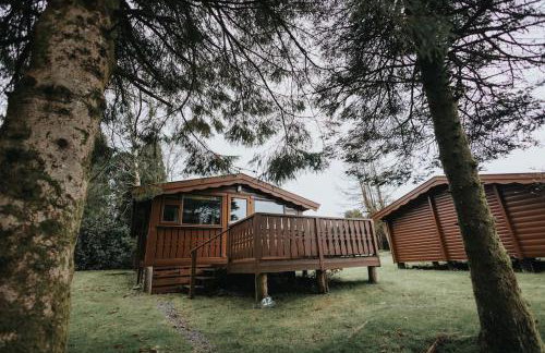 Rustic Log Cabin in Snowdonia - 2 Bedrooms & Parking - Foto 23