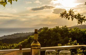 Zelis In Pelion Greece - Foto 12