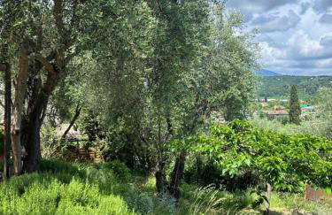 La maison aux oliviers - Foto 32
