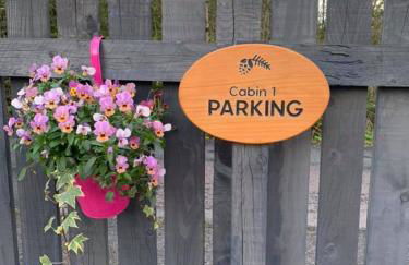 Conifer Cabins - Photo 39