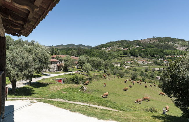 Quinta do Rapozinho - Foto 77