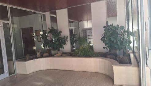 Appartement cosy au centre d'Arcachon - Foto 2