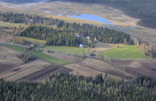 B&B Kommee Kurki - Foto 29