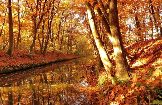 Holiday Apartment Alleblas - Foto 11