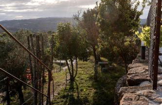 Quinta das Mimosas - Foto 60