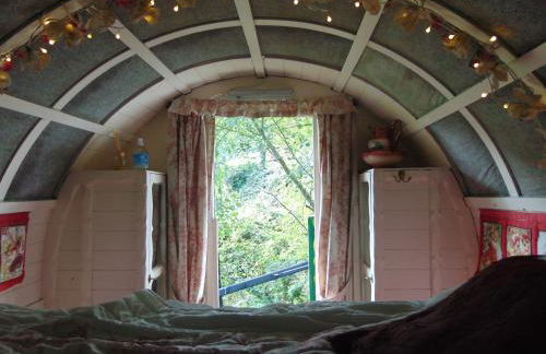 Romany Wagon & Cwtch - Photo 3