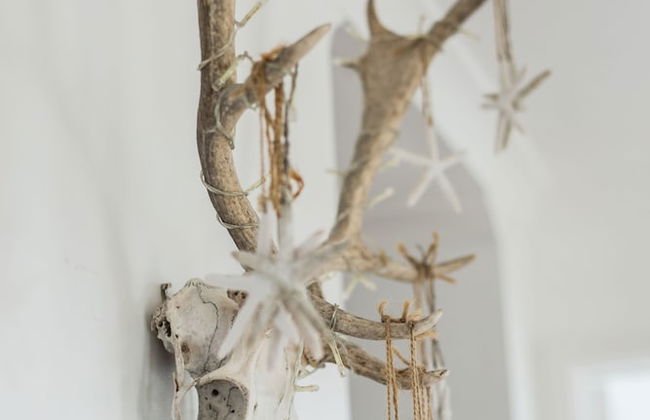 Fairlight - Charming Coastal Home on the Beach - Foto 31