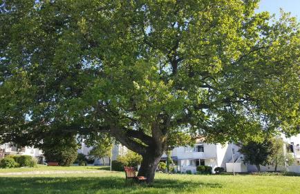 Apartment Matilda - Foto 32