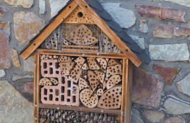 Landhaus Sonneninsel - Appartement - Foto 13