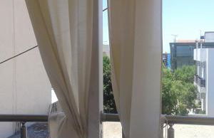 Little Octopus - Photo 15