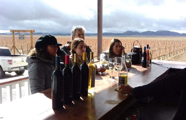 Ensenada Wine & Cheese Tasting - Foto 10