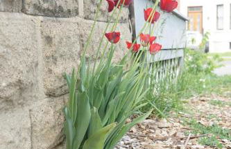 Charming Victorian Home In Historic District - Foto 63