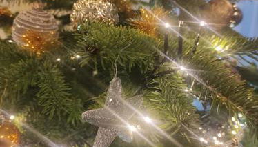 Ferienhaus Bitburg - Foto 5