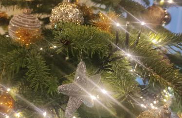 Ferienhaus Bitburg - Foto 5