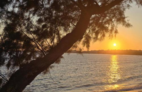 Hotel Estia - Foto 24