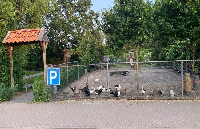 Cozy Holiday Home in Bergen op Zoom With Garden - Foto 62