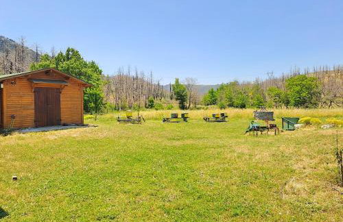 Timber Dream - Photo 27