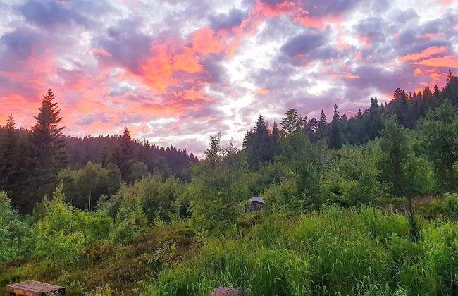 6 Person Holiday Home in Passebekk-by Traum - Foto 17