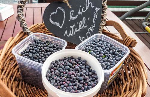 Chalet Bootshaus auf dem See by Interhome - Foto 14