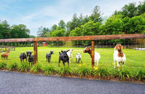Pisgah Forest Farm Home: Outdoor Pool & Games - Foto 28