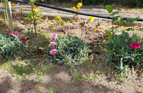 Villa Alba - Foto 26