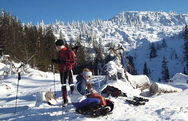 Comfort Apartment Goisernperle - Near Hallstatt - Foto 46