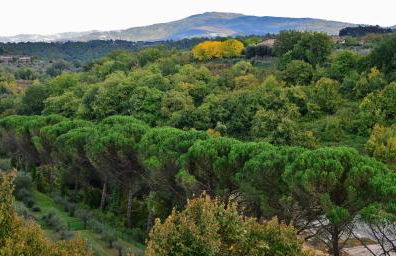 Pieve Suites - Photo 27