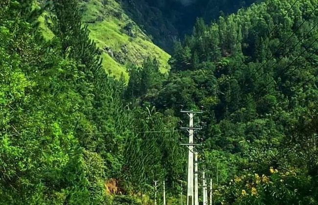 Mount view family rest & cottage - Photo 45