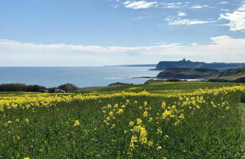 Smugglers Rock Cottages - Foto 15