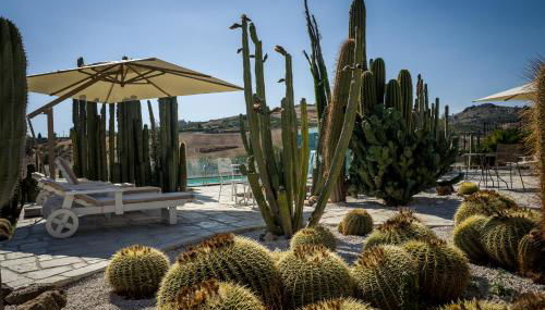 Relais Garden Cactus B&B - Foto 4, Garden