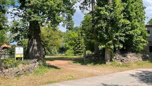 Baumhausfeeling - Foto 5