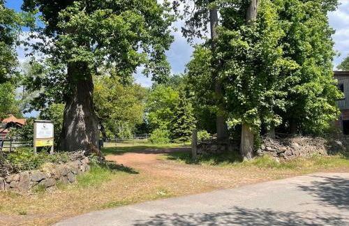 Baumhausfeeling - Foto 5