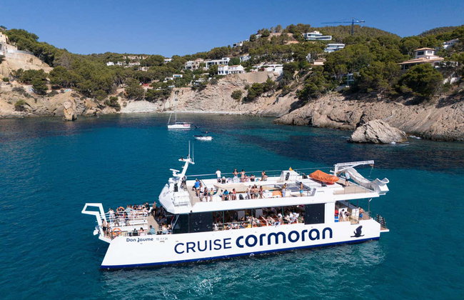 Avistamiento de delfines en el sur de Mallorca - Foto 7