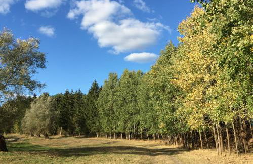 Ferienwohnung Felix - Photo 28