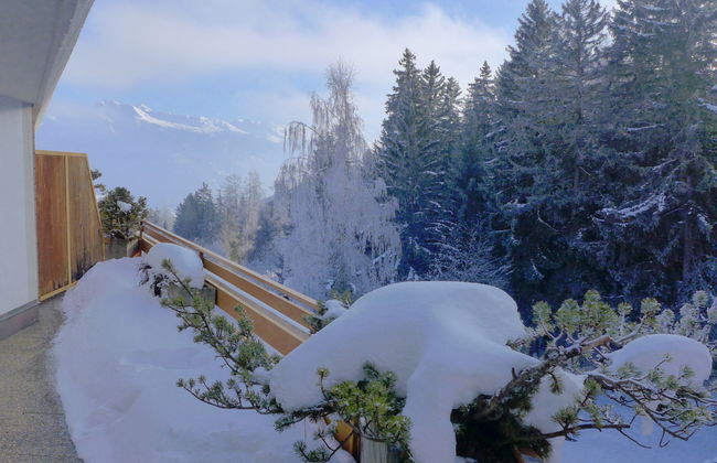 Terrasse Des Alpes 917 - Foto 2