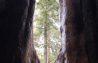 Shirley Creek Retreat: a Mountain Oasis - Foto 48