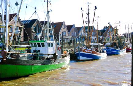 Am Horumertief - Foto 25